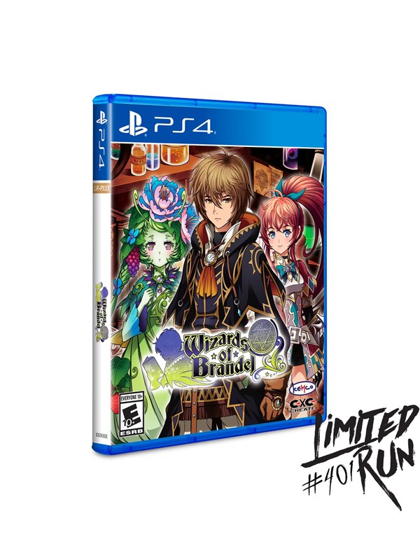 Wizards Of Brandel Sony Playstation 4 Rpg