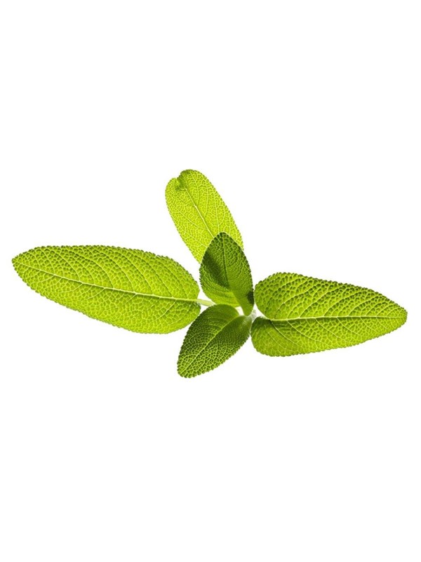 Click & Grow Click and Grow - Smart Garden Refill 3-pack Garden Sage - SEK 106 - Spara 36%