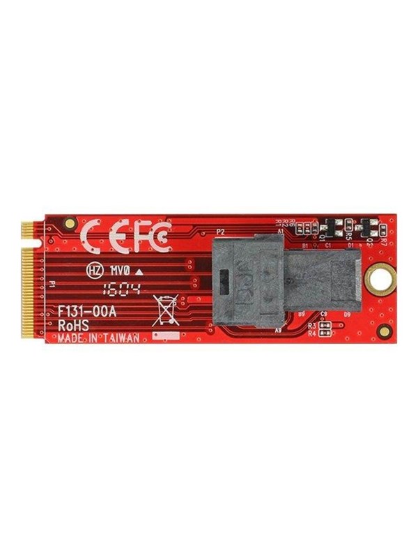 DeLOCK - Interface Adapter - SAS 12Gb/s - M.2 Card