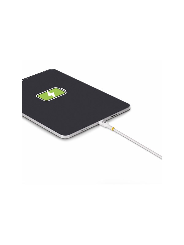 StarTech.com 2m USB C Charging Cable USB-IF Certified USB-C Cable 240W - USB-C cable - 24 pin USB-C to 24 pin USB-C - 2 m