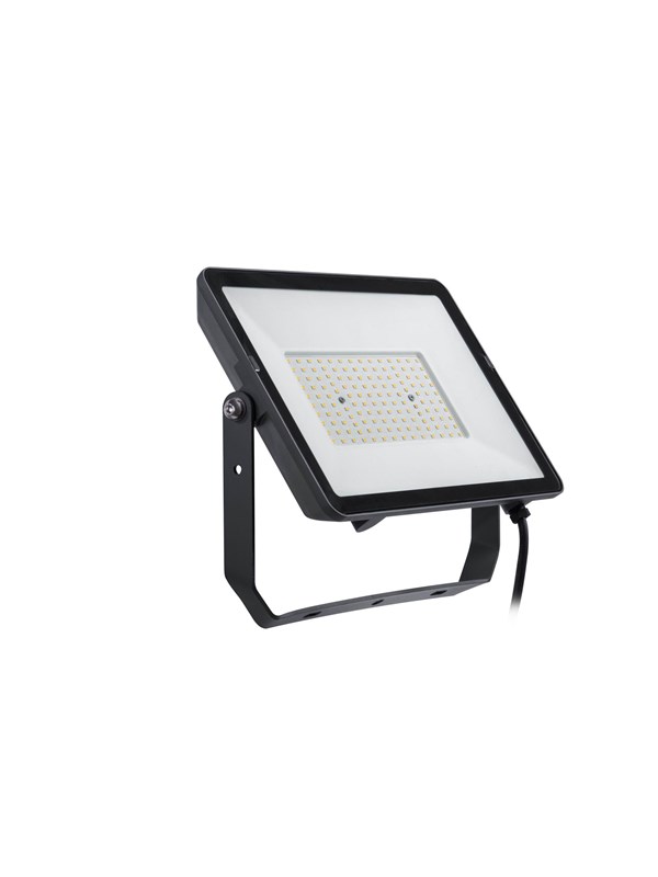 Philips Projectline Floodlight 100W 4000K