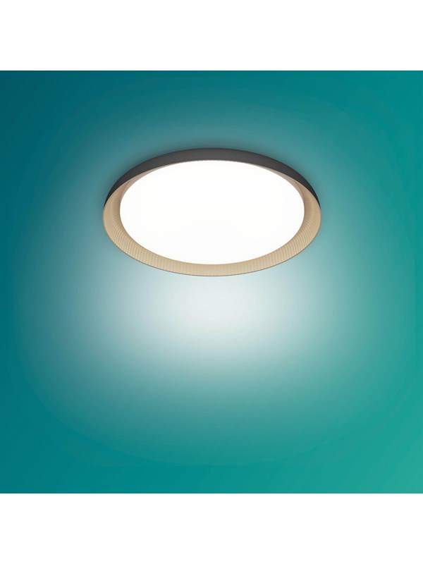 Philips By Signify 8720169301092 Ceiling Lighting