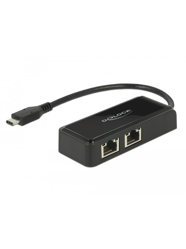 DeLOCK Adapter USB-C 3.1 Gen 1 > 2 x Gigabit LAN 10/100/1000 Mb/s