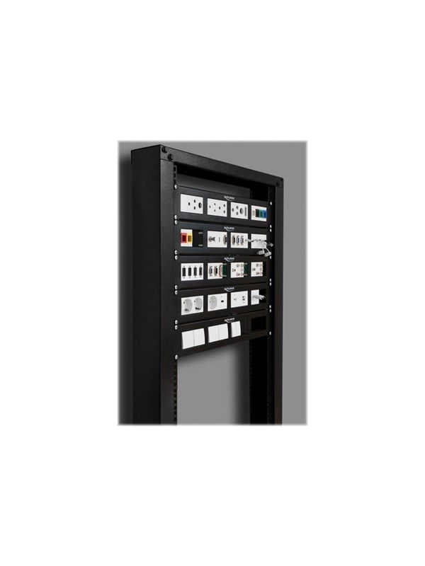 DeLOCK Patch Panel - 2U - 19"