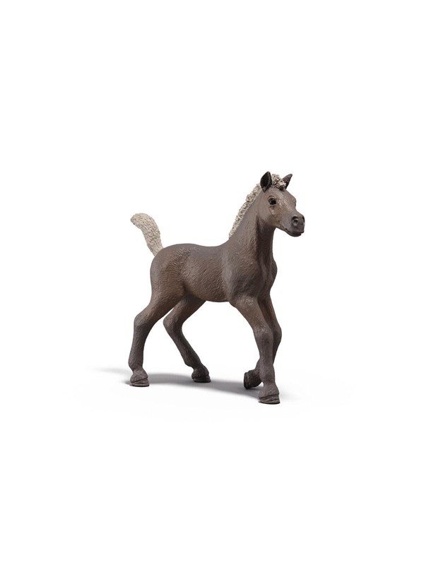 Schleich Samlarföl Darcy