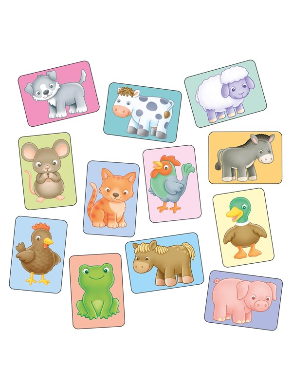 Orchard See &amp; Sound Flashcards