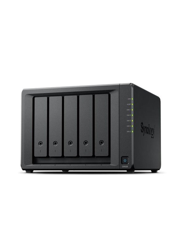 Synology DX525 - NAS Server