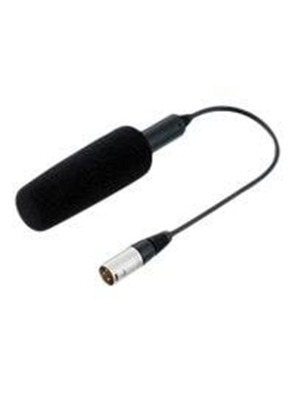 Panasonic AG-MC200G - microphone