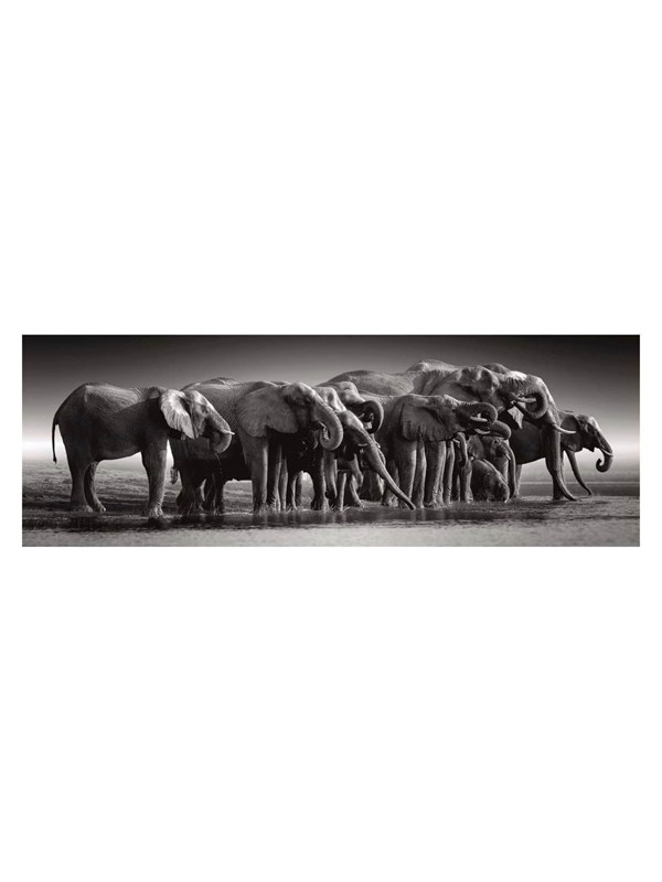 Clementoni Jigsaw Puzzle Herd of Giants 1000pcs. Golv