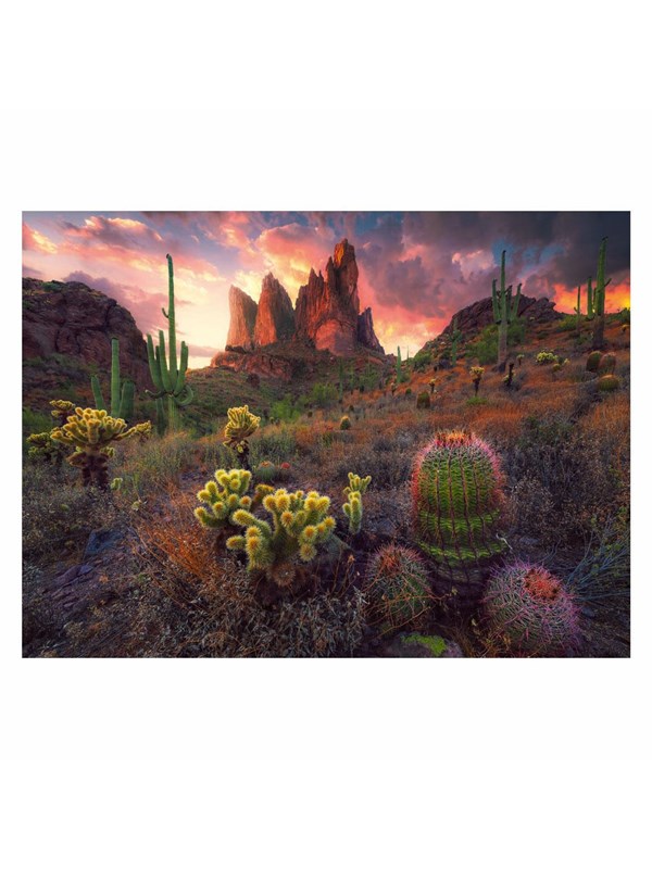 Ravensburger Jigsaw puzzle Cactus 500 pcs. 2D Pussel