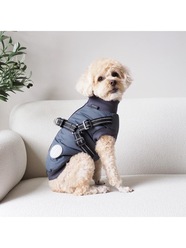 Nordic Paws - Dogcoat Thor with harness  45cm - Anthracite L