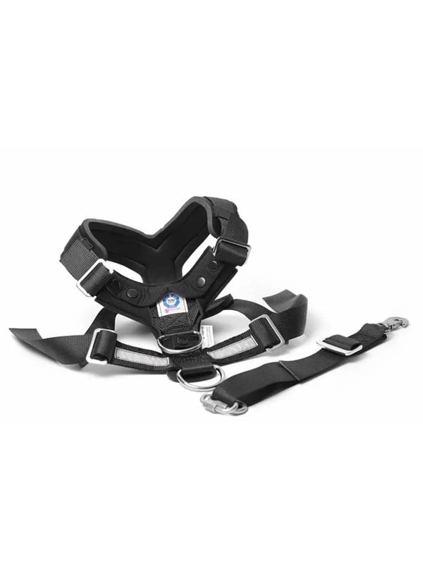 Mimsafe - Allsafe Xl >55kg Car harness