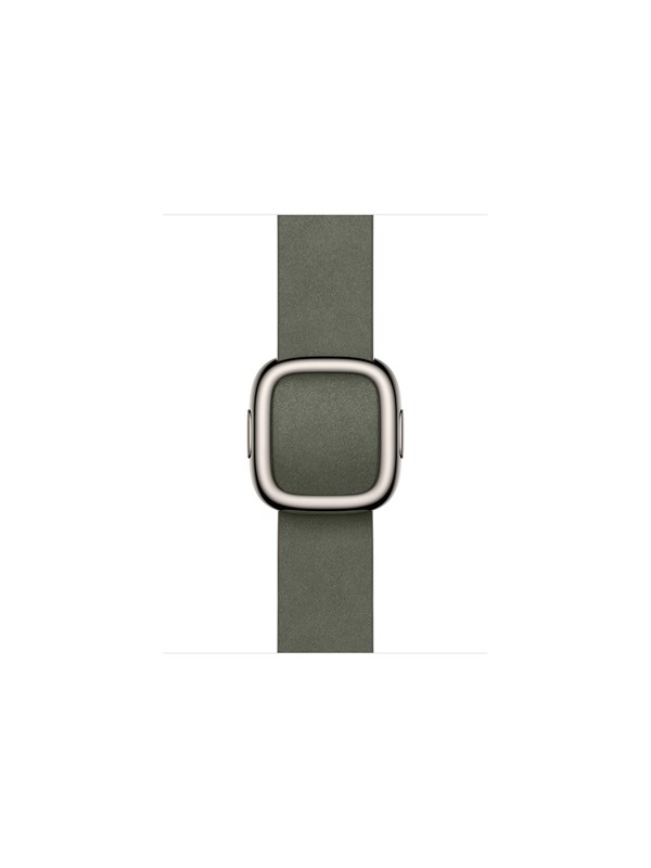 Apple 42mm Sage Gray Modern Buckle - Large