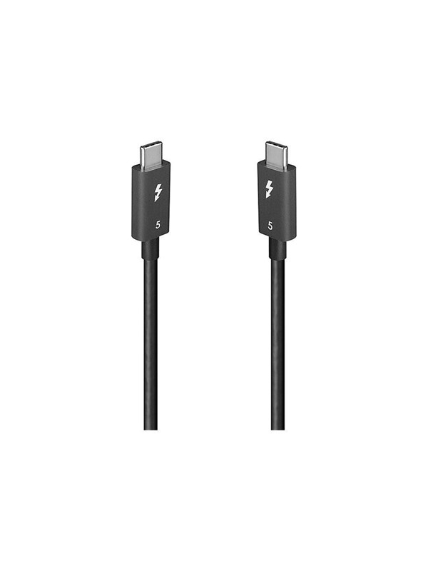 Lindy - USB-C cable - 24 pin USB-C to 24 pin USB-C - 1 m