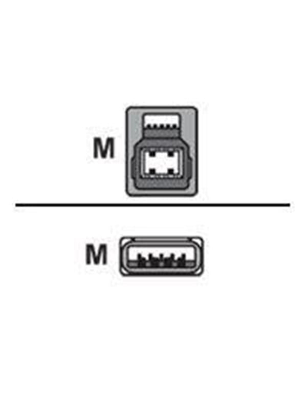 Unitek - USB cable - USB Type A to USB Type B - 2 m