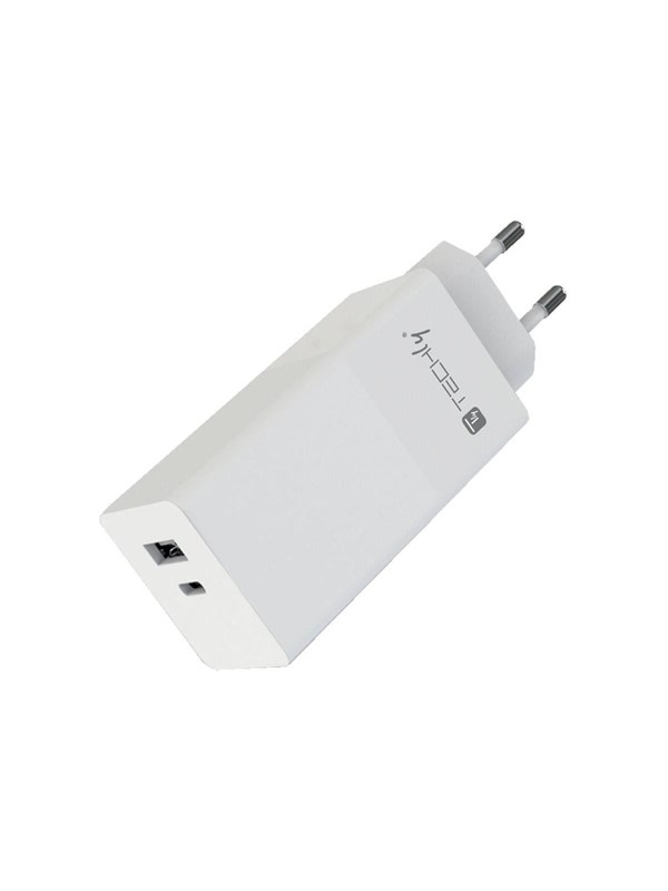 TECHLY power adapter - USB 24 pin USB-C - 100 Watt