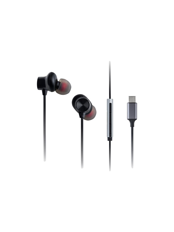Panasonic RP-TCM225 - earphones with mic - USB-C