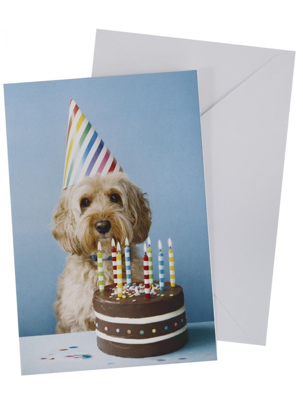 SCANSEASON Card with envelope dog with cake 11*17cm