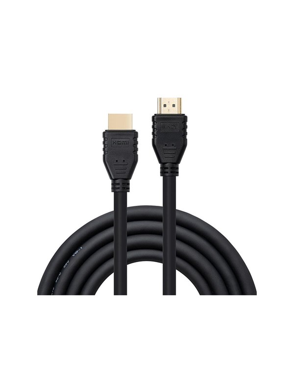 Lindy DVI Male & Audio Fly Lead for In-Wall Cable Run - video / audio cable - DVI / audio - 25 cm