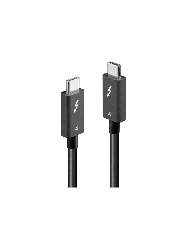 Lindy - USB-C cable - 24 pin USB-C to 24 pin USB-C - 1 m