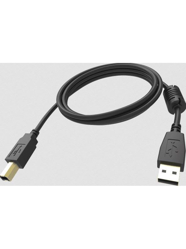 Vision Professional - USB cable - USB to USB Type B - 5 m