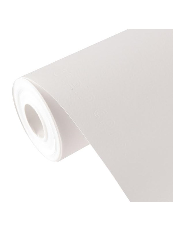 Canson C Á grain FG 1.5x10 m 224G Roll