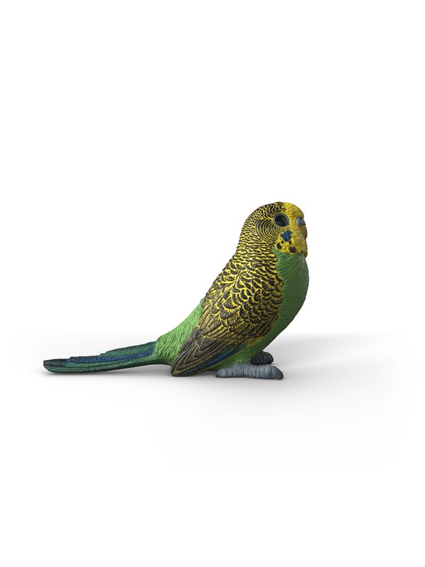 Schleich Budgie