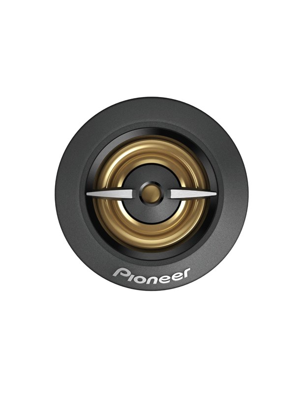 Pioneer TS-A301TW
