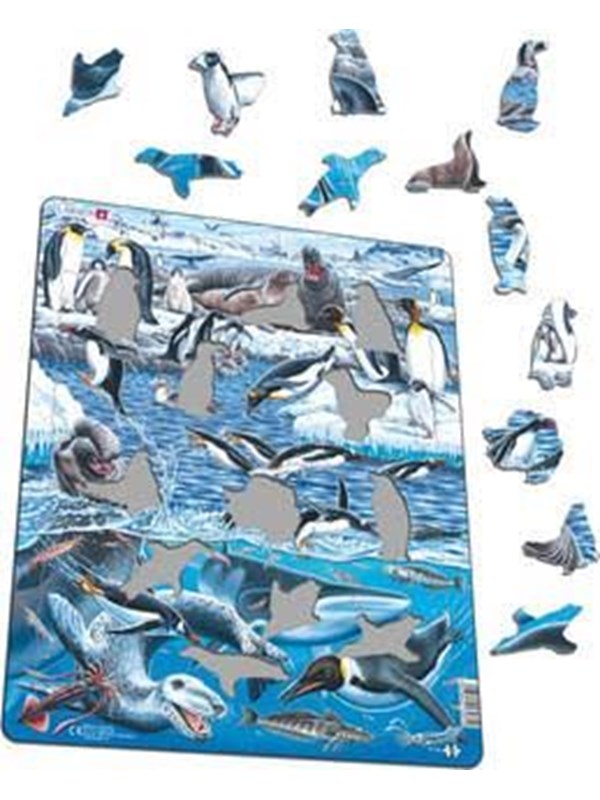 Larsen Puzzles Puzzle Antarctica - 66 pieces Maxi (36.5x28.5cm) 2D Pussel