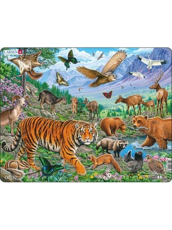 Larsen Puzzles Puzzle Siberian tiger summer - 36 pieces Maxi (36.5x28.5 cm) 2D Pussel
