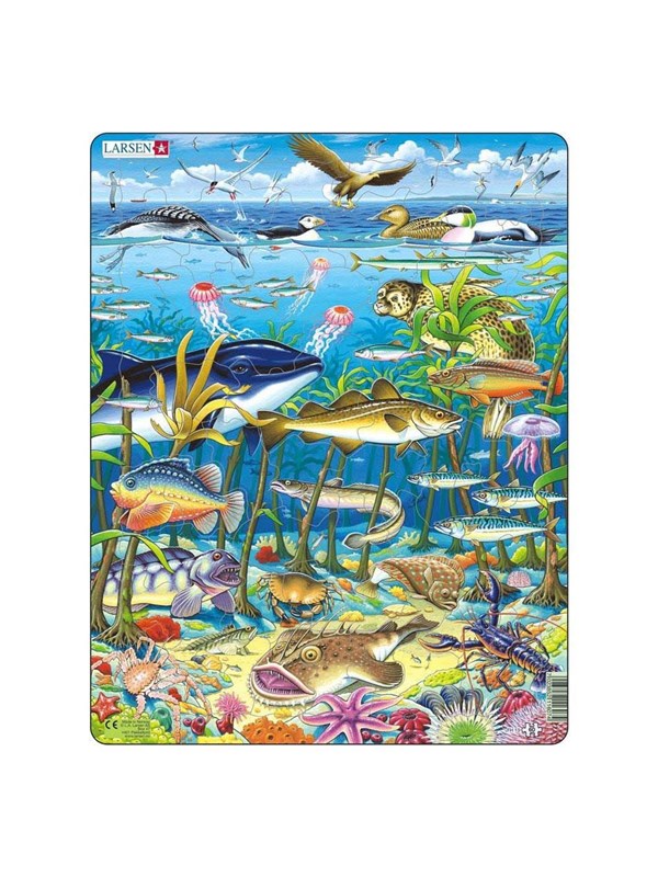 Larsen Puzzles Puzzle Marine Life in the North Atlantic - 60 pieces Maxi (36.5x28.5 cm) 2D Pussel