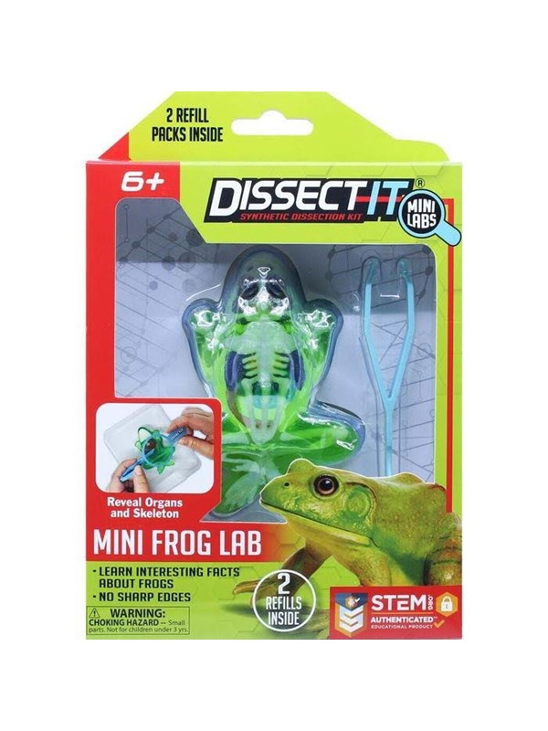 Sensory Compounds Frog In Giftbox