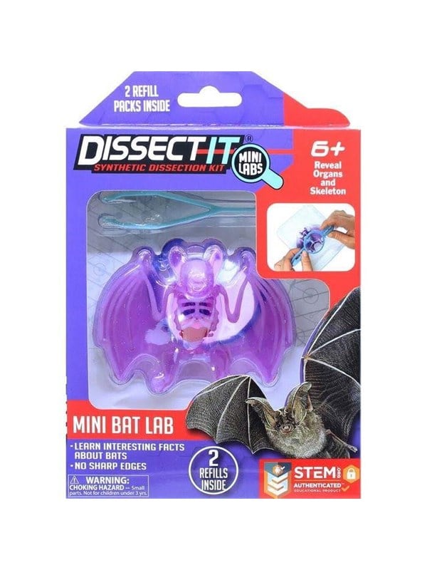 Sensory Compounds Bat In Giftbox