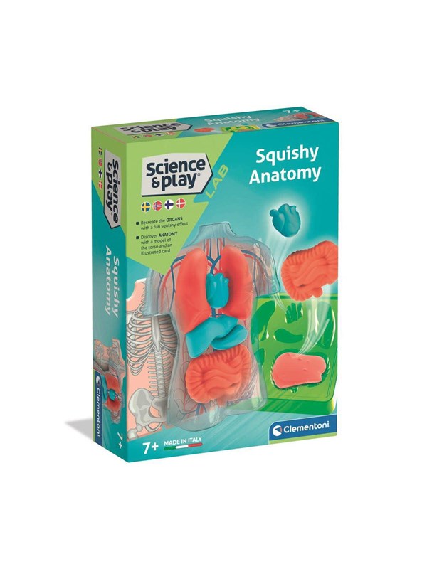 Clementoni Mini Squishy Organs