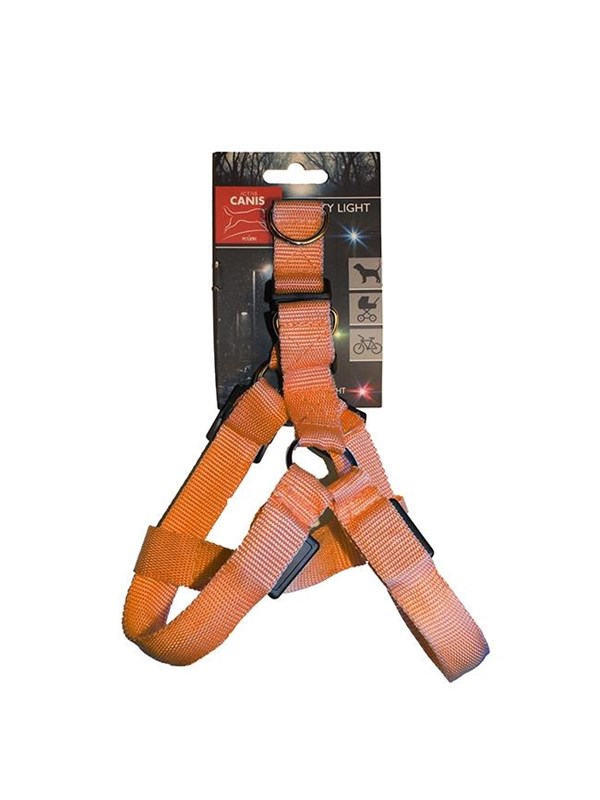 Active Canis Led light harness m orange