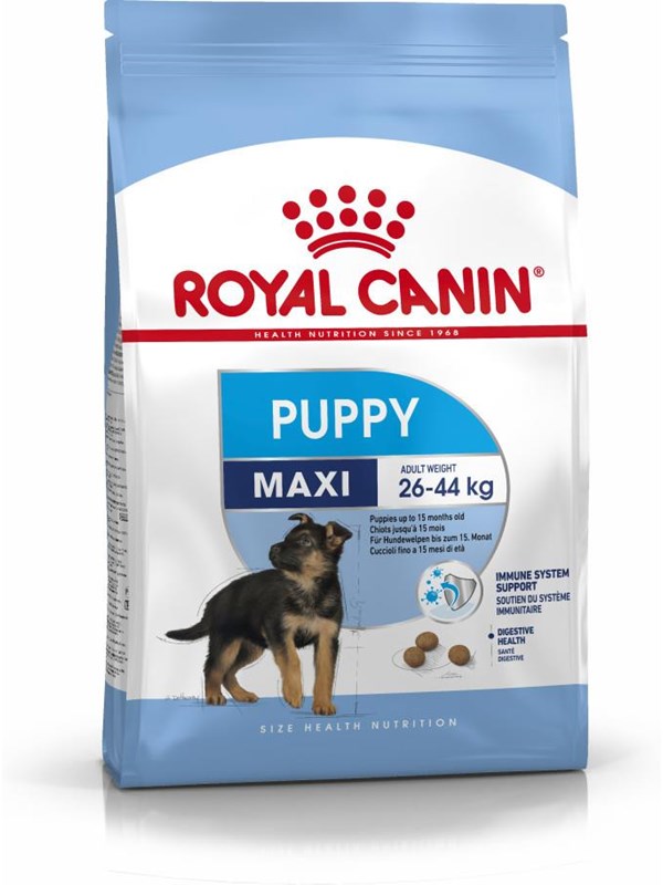 Royal Canin SHN Maxi Puppy - dry puppy food - 4kg