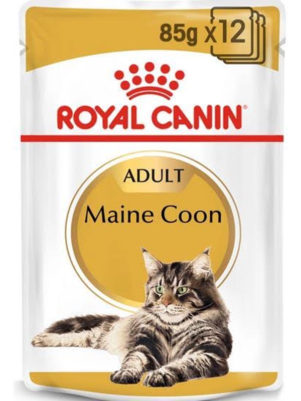 Royal Canin FBN Maine Coon - Cat wet food - sachet 12x 85g