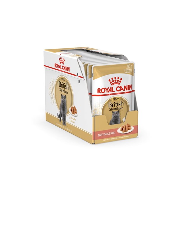 Royal Canin British Shorthair packet 12x85g