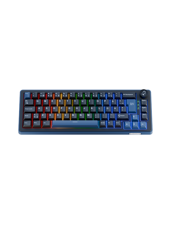Ducky OK-M-65 - Gaming Keyboard - Utan numpad - Nordisk - Svart