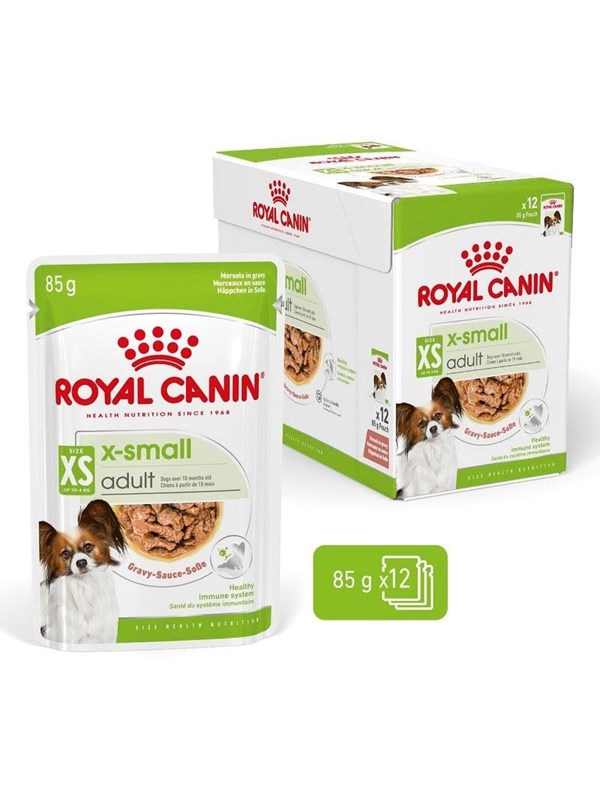 Royal Canin Adult xs-small - wet dog food - 12 x 85g