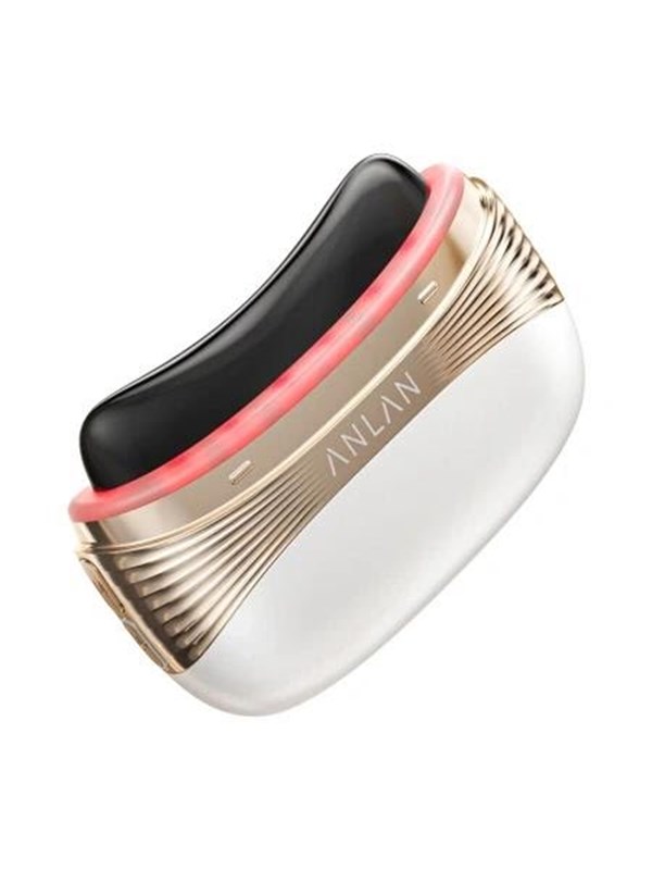 Anlan 02-AGSY53-02A 2-in-1 Face and Head Massager