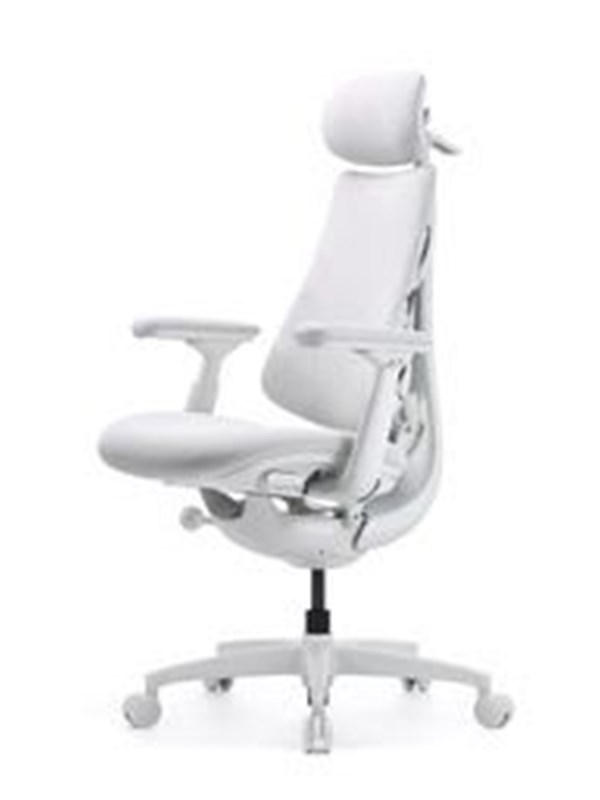 LiberNovo Omni Gen Dynamic Ergonomic Chair Gaming Stol - Vit