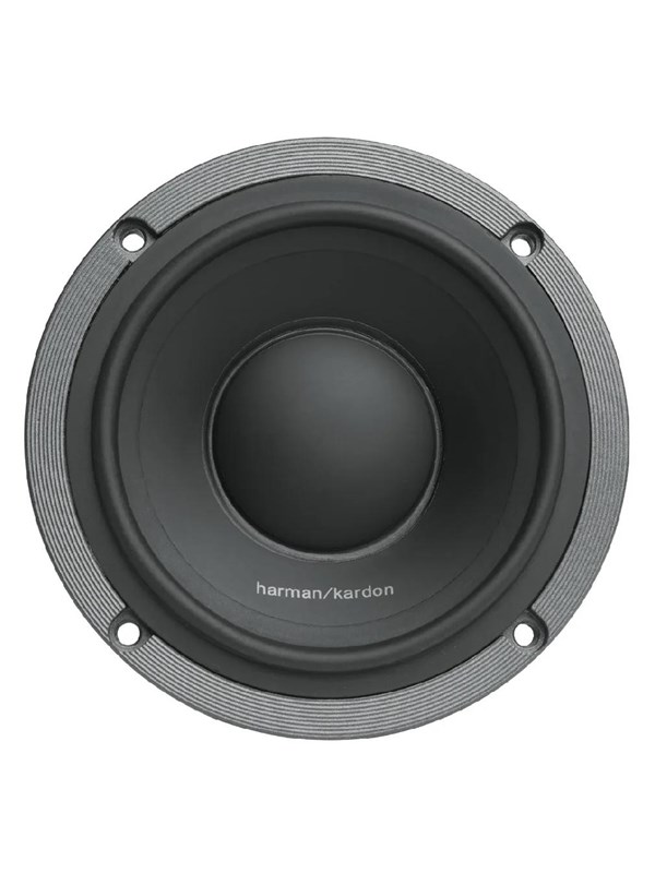 Harman Kardon FLOW 300S
