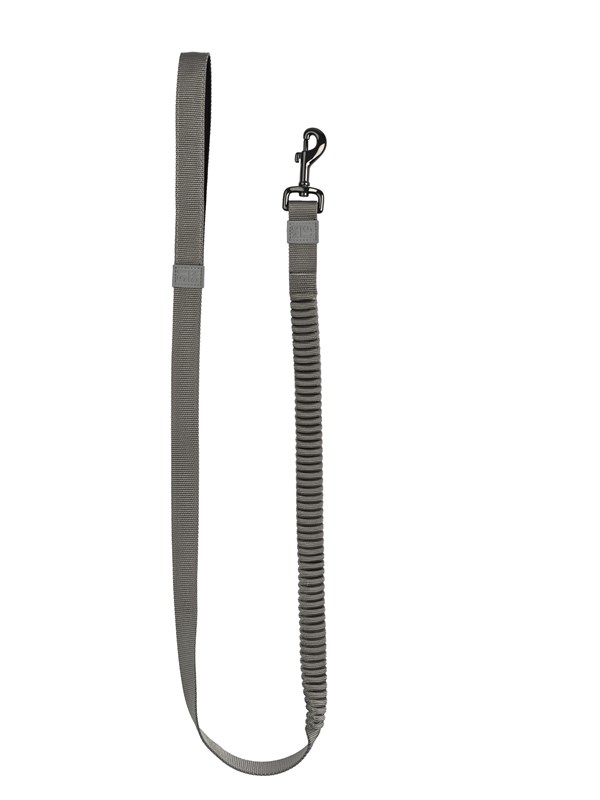51 Degrees North 51 - Wanderful - Leash - Nylon - Bungee Flat - Lig