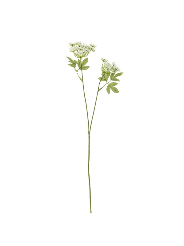 Bloomingville Fennel