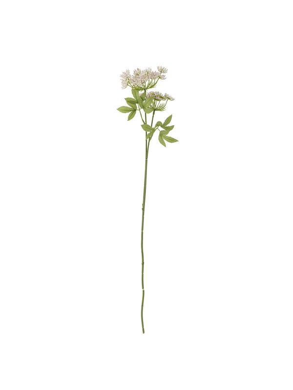 Bloomingville Fennel