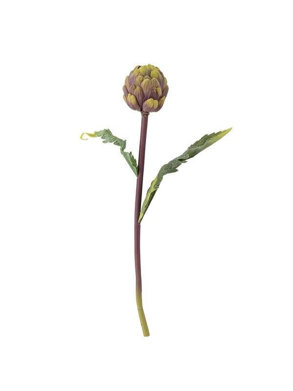 Bloomingville Protea