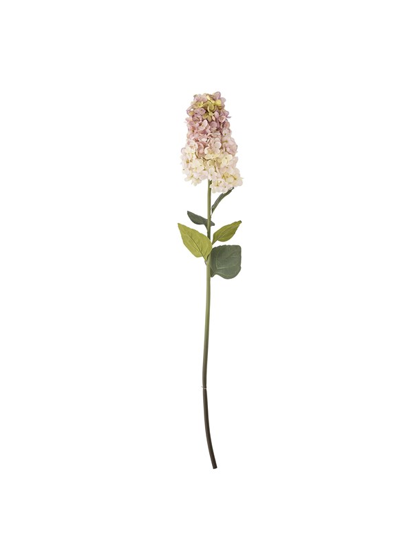 Bloomingville Hydrangea