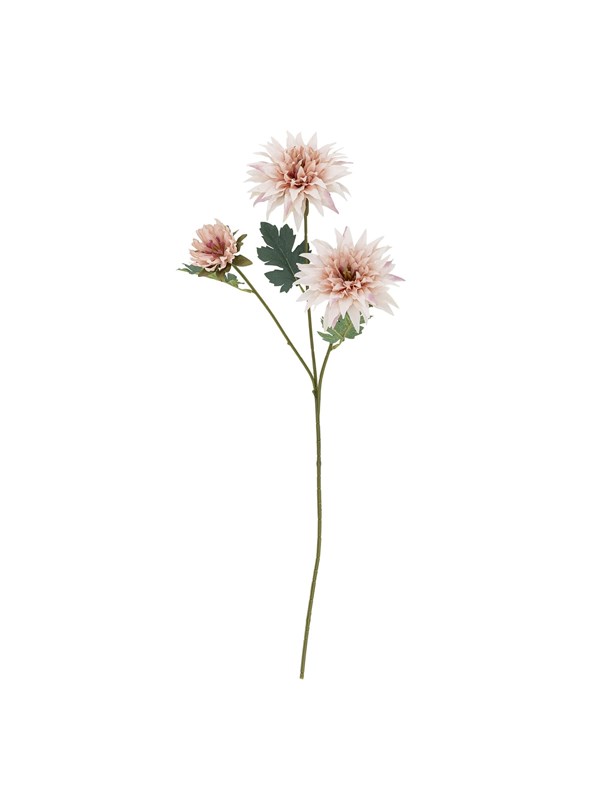 Bloomingville Chrysantemum