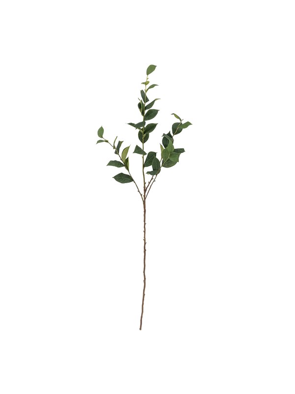 Bloomingville Eucalyptus